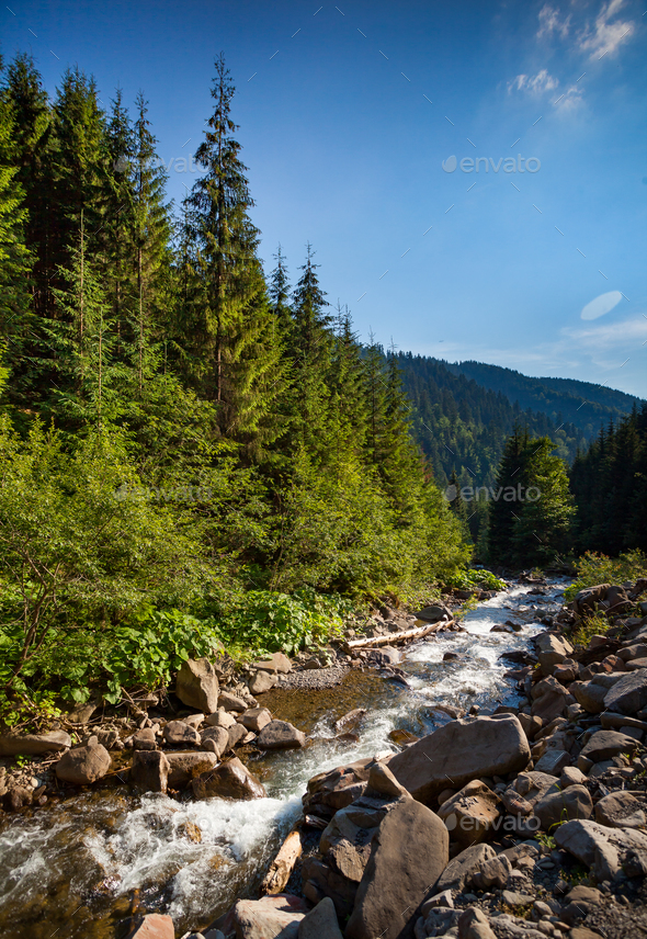 Mountain river stream. Summer nature landscape - Stock Photo - Images
