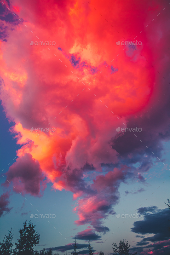 Dramatic Sunset Pink Sky Background With Clouds Stock Photo By Goinyk