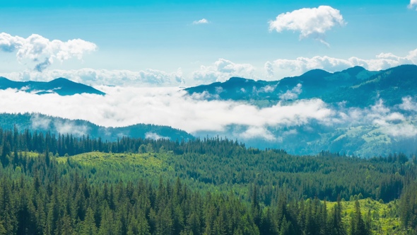 Misty Morning in the Mountains alt