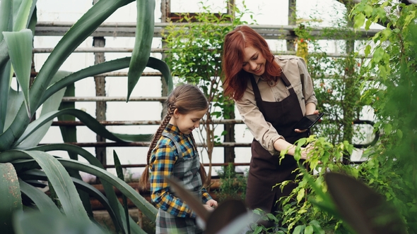 Mother and Daughter Modern Farmers Are Talking, Laughing and Having Fun While Checking Plants in alt
