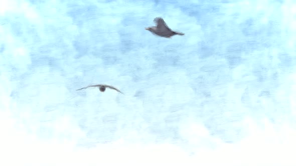Birds Flying in the Blue Sky Stop Motion