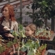 Adorable Child Is Counting Flowers in Greenhouse While Her Mother Is Entering Data in Tablet - VideoHive Item for Sale