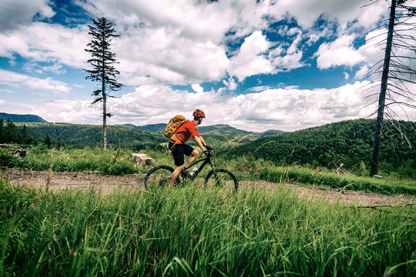 Mountain biker cycling riding bikepacking in woods and mountains Stock Photo by blas