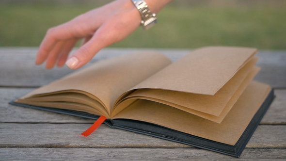 Wind Turns the Pages of a Blank Book Lying on a Bench