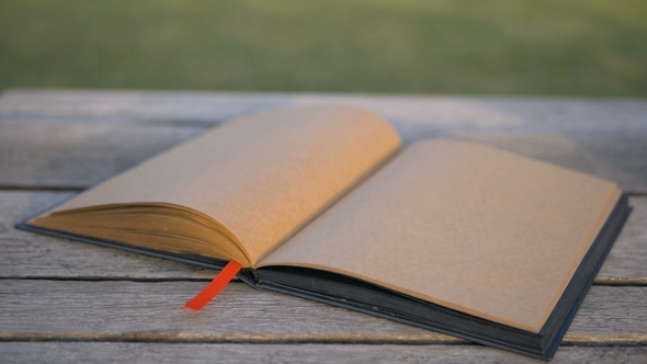 Wind Turns the Pages of a Blank Book Lying on a Bench