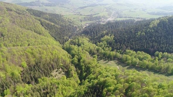 Flight Over the Forest in the Mountains and Village View of Ukrainian Carpathians