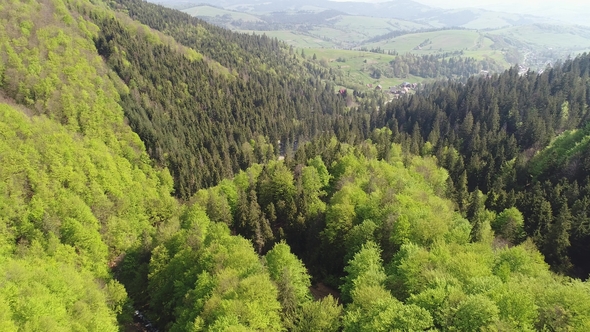 Flight over the Forest in the Mountains and Village