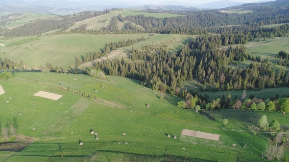 Flight Over the Forest in the Mountains and Village Aerial View of Ukrainian Carpathians