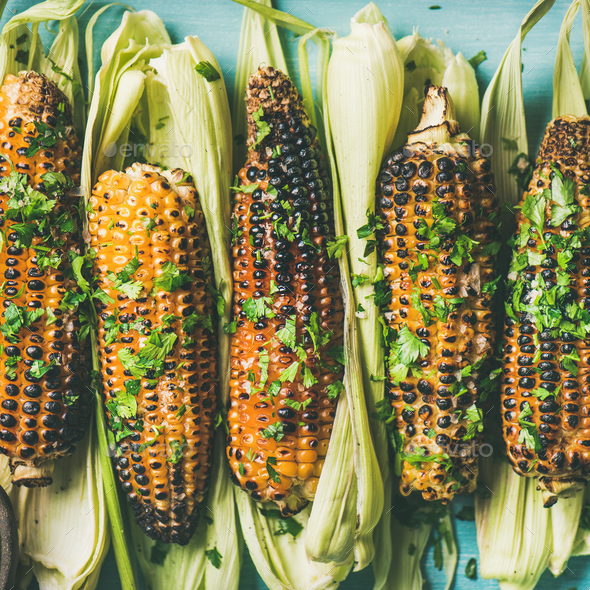 Flat-lay of grilled sweet corn with spices, square crop - Stock Photo - Images