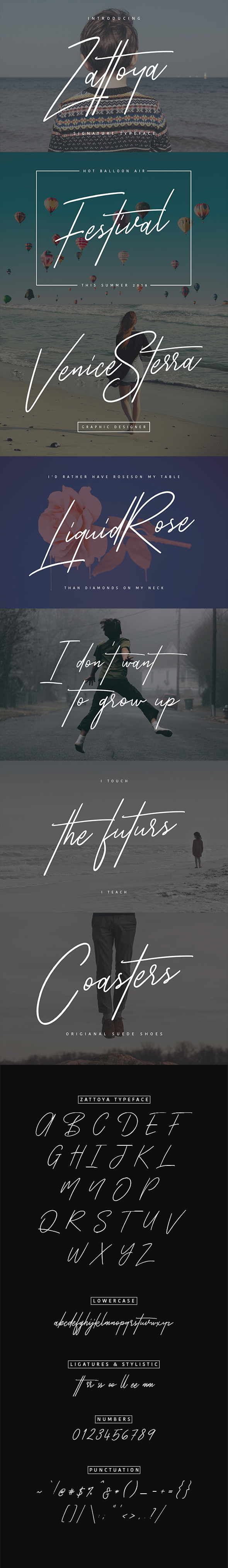 Zattoya Signature Typeface - Calligraphy Script