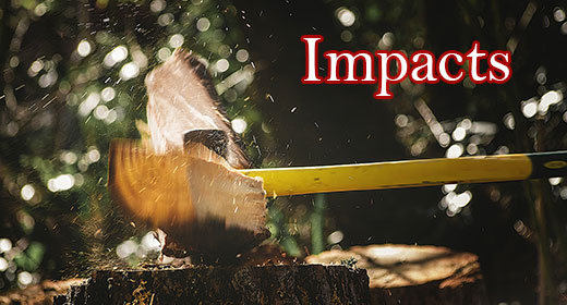Impacts Collection