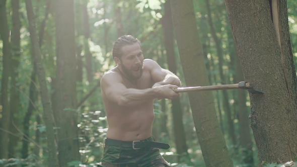 Hacking At Tree Strong Forester Hacking a Tree in a Forest, Stock Footage | VideoHive