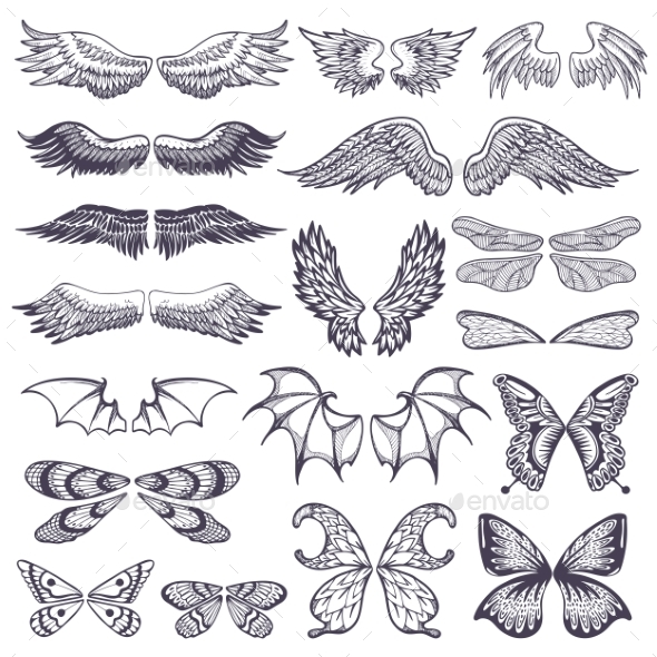 Wing Vectors - Miscellaneous Vectors
