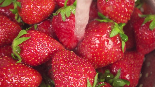 Stream of Water Pours onto a Strawberry in a Colander