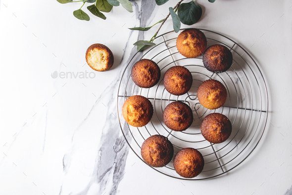 Homemade lemon muffins - Stock Photo - Images