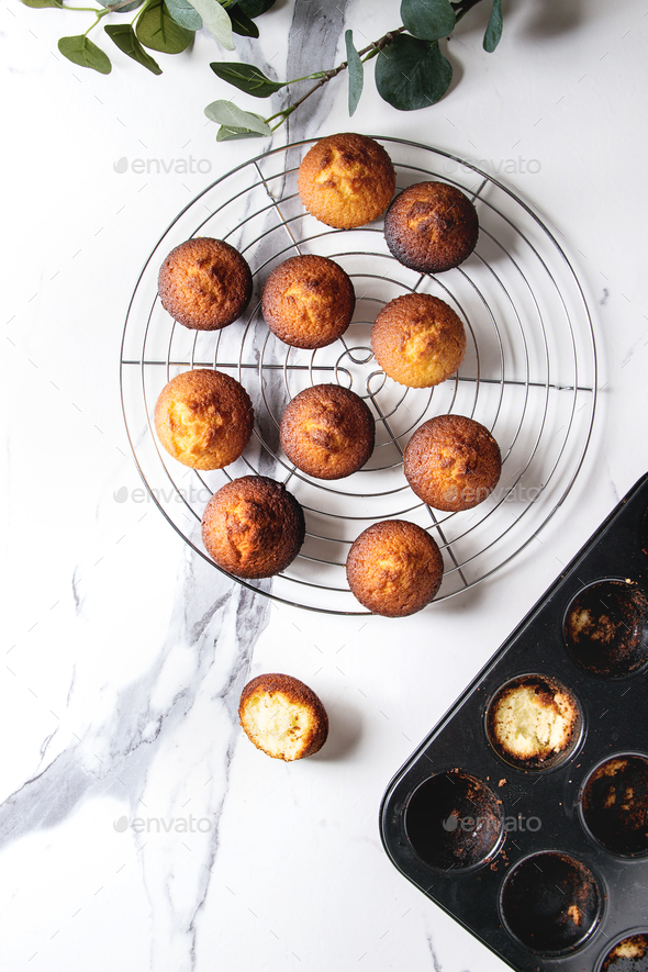 Homemade lemon muffins - Stock Photo - Images