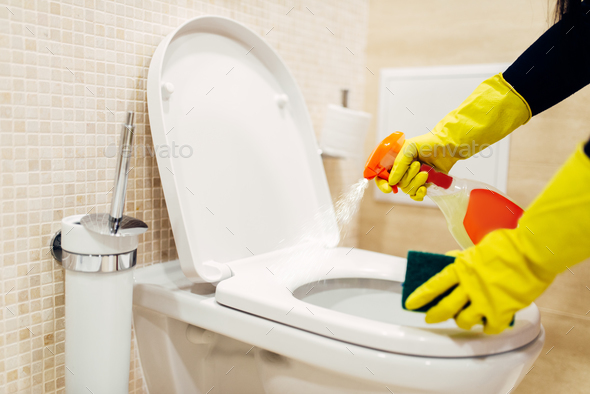 Maid cleans the bidet with a cleaning spray - Stock Photo - Images