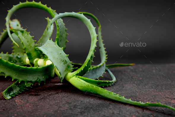 Aloe vera on brown background. - Stock Photo - Images