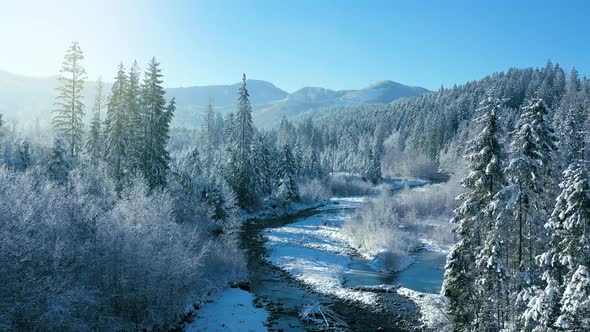 Winter in the Mountains alt