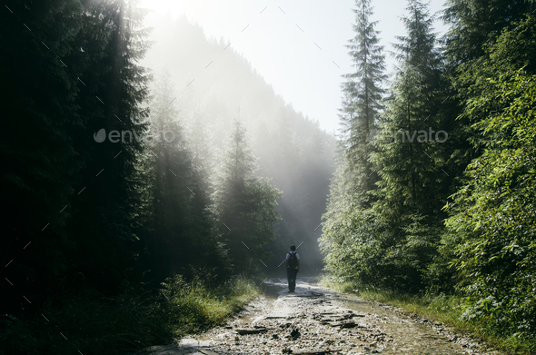 Man on mountain road with sun rays and pine trees - Stock Photo - Images