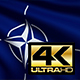 Nato Flag 4K - VideoHive Item for Sale