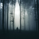 Silhouette of man in mysterious dark haunted forest at night Stock ...