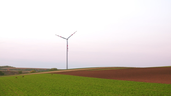 Aerial Wiev of Windmills Farm. Power Energy Production alt