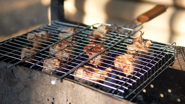 Preparation of a Shish Kebab on Fire