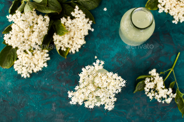 Kombucha tea with elderflower - Stock Photo - Images