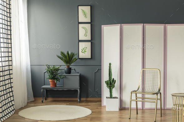 Elegant living room interior with plants on black cupboard next - Stock Photo - Images