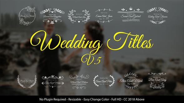 Wedding Titles - VideoHive 22030075