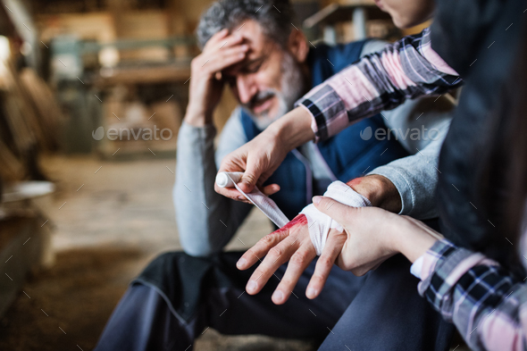 A woman bandaging a hand of a man worker after accident in carpentry workshop. - Stock Photo - Images