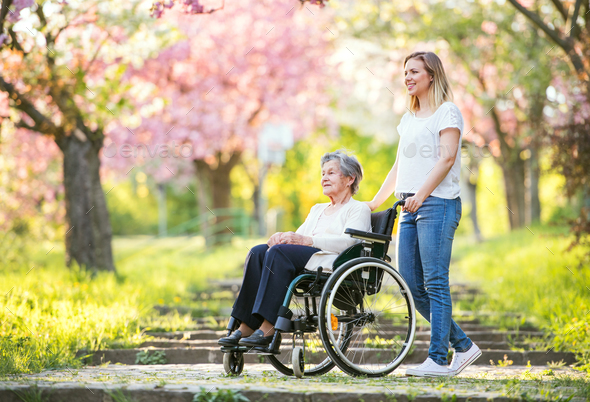 Elderly grandmother in wheelchair with granddaughter in spring nature. - Stock Photo - Images