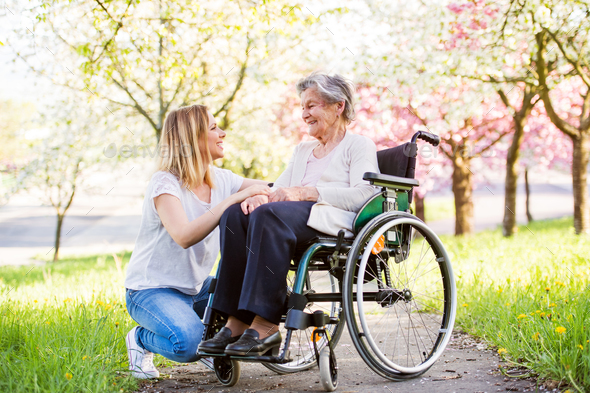 Elderly grandmother in wheelchair with granddaughter in spring nature ...