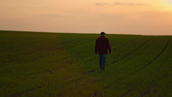 A Man Farmer Goes on a Rural Road Along a Green Wheat Field at Sunset alt