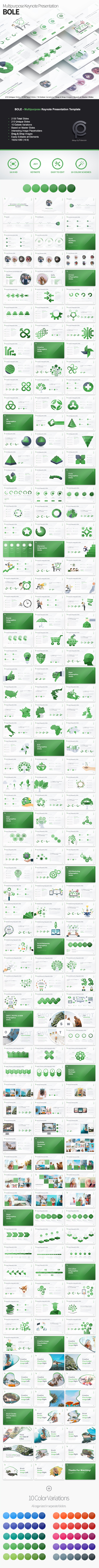 Bole - Multipurpose Keynote Presentation - Business Keynote Templates