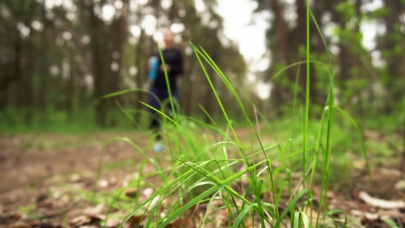 Runner Athlete Running on Forest Trail. Woman Fitness Jogging Workout Concept