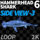 Hammerhead Shark 6 Side View-3 - VideoHive Item for Sale