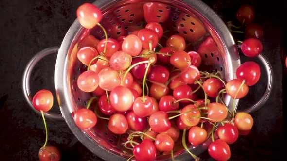 The Ripe Cherry Falls Down Into a Colander