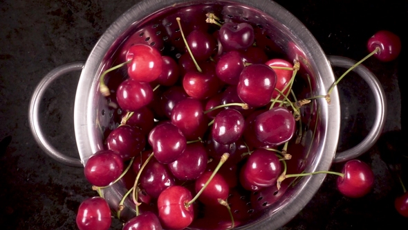 The Ripe Cherry Falls Down Into a Colander