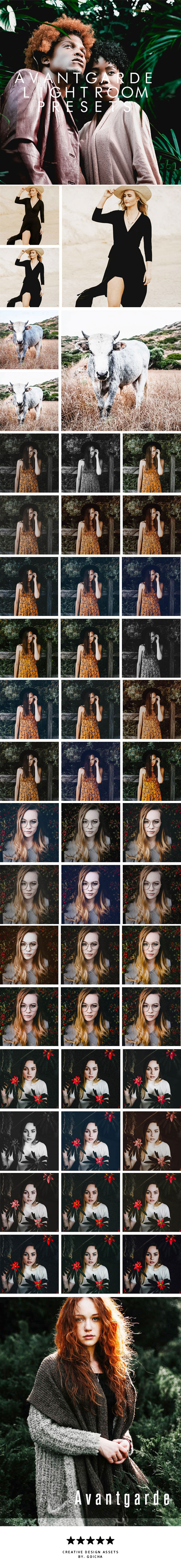 Avantgarde Lightroom Presets - Lightroom Presets Add-ons