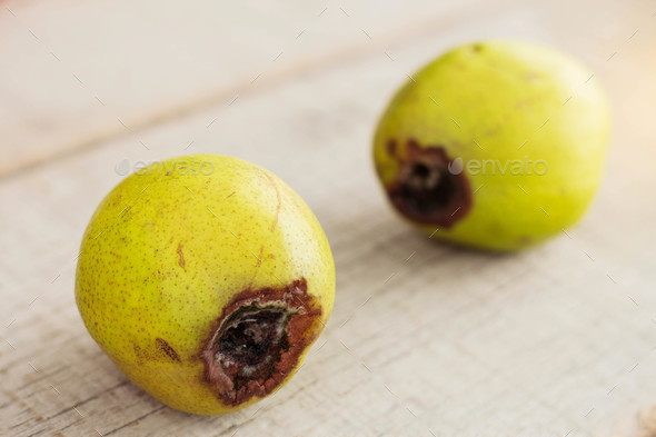 Pear is going to rot on wooden - Stock Photo - Images