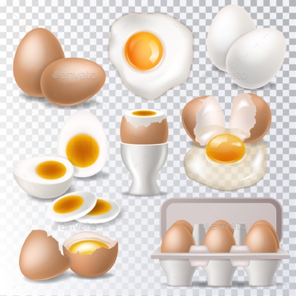 Egg Vector Healthy Food Eggwhite or Yolk in Egg - Food Objects