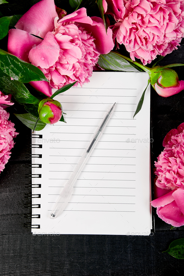 Beautiful pink peony flowers with note. - Stock Photo - Images