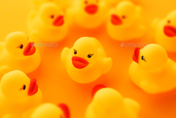 Group of rubber ducks chatting - Stock Photo - Images