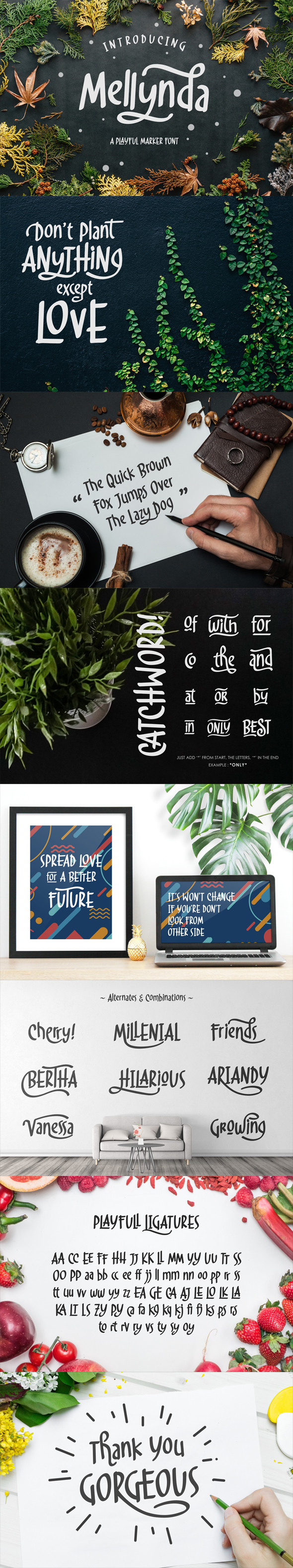 Mellynda - Hand-writing Script