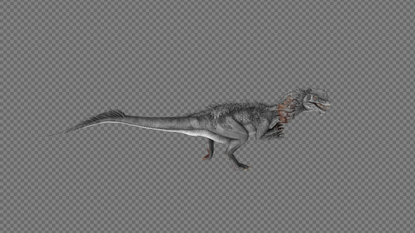 Dilophosaurus Dinosaur Run Pack 4IN1