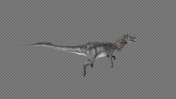 Dilophosaurus Dinosaur Swim Pack 4IN1