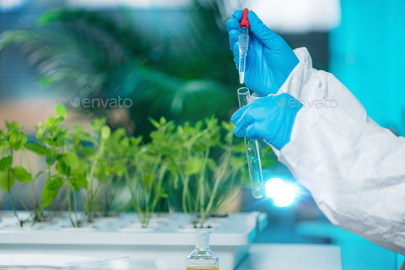 Biologist doing experiments with plants - Stock Photo - Images