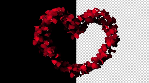 heart of roses videohive free download after effects templates